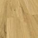 FalQuon коллекции Wood P7001 Дуб Медовый ❤ Доставка по Украине ➤ PIDLOGAVDIM.COM.UA